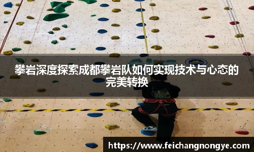 攀岩深度探索成都攀岩队如何实现技术与心态的完美转换
