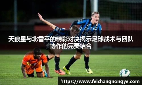 天狼星与北雪平的精彩对决揭示足球战术与团队协作的完美结合
